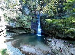 Api e vespe alla cascata di Ferrera