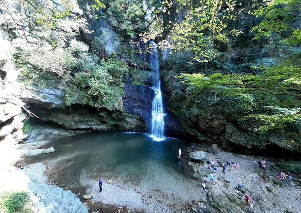 Api e vespe alla cascata di Ferrera