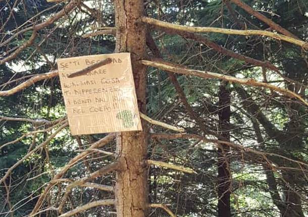 I cartelli contro gli sporcaccioni del bosco