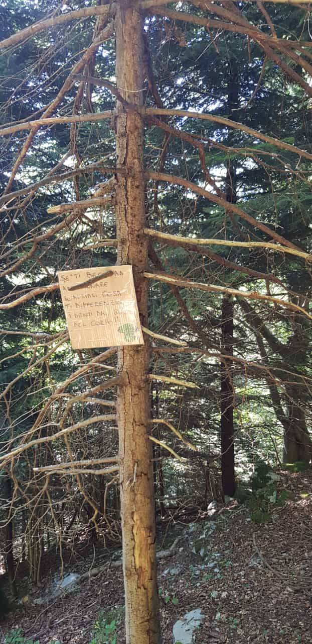 I cartelli contro gli sporcaccioni del bosco