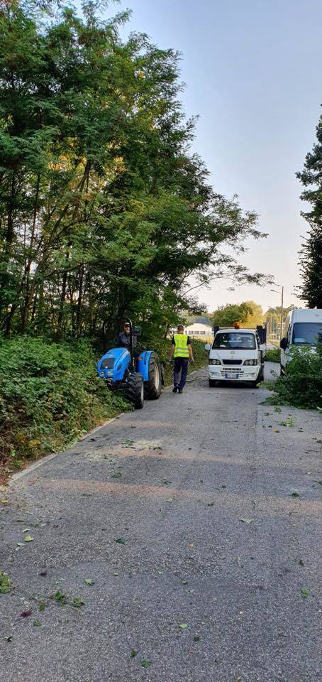 Cogliate/ Misinto: volontari ripuliscono la strada da erbacce e rifiuti