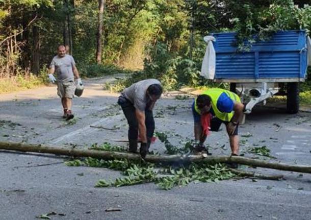 Cogliate/ Misinto: volontari ripuliscono la strada da erbacce e rifiuti