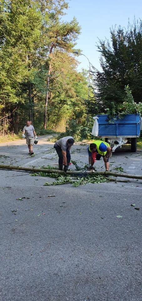 Cogliate/ Misinto: volontari ripuliscono la strada da erbacce e rifiuti