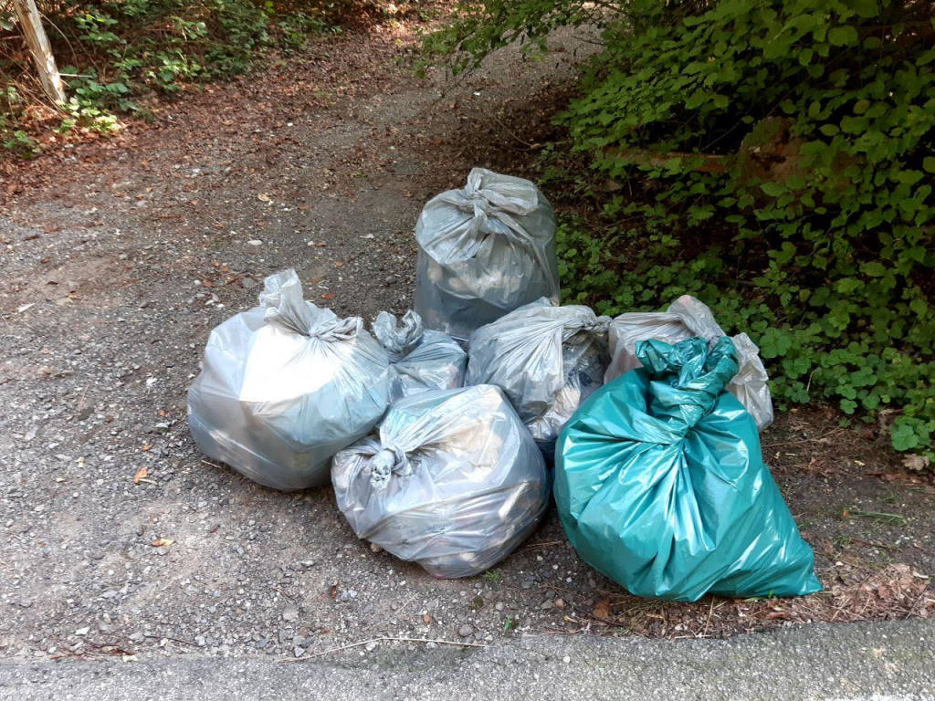 Gerenzano-Rescaldina, il Gruppo Camminata Ecologica ripulisce il Bosco del Rugareto