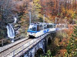 Il treno del foliage e i colori dell'autunno