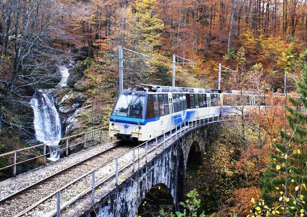 Il treno del foliage e i colori dell'autunno