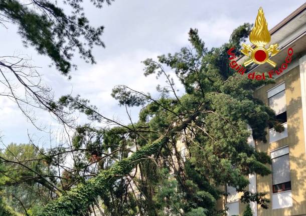 intervento vigili del fuoco lavena ponte tresa