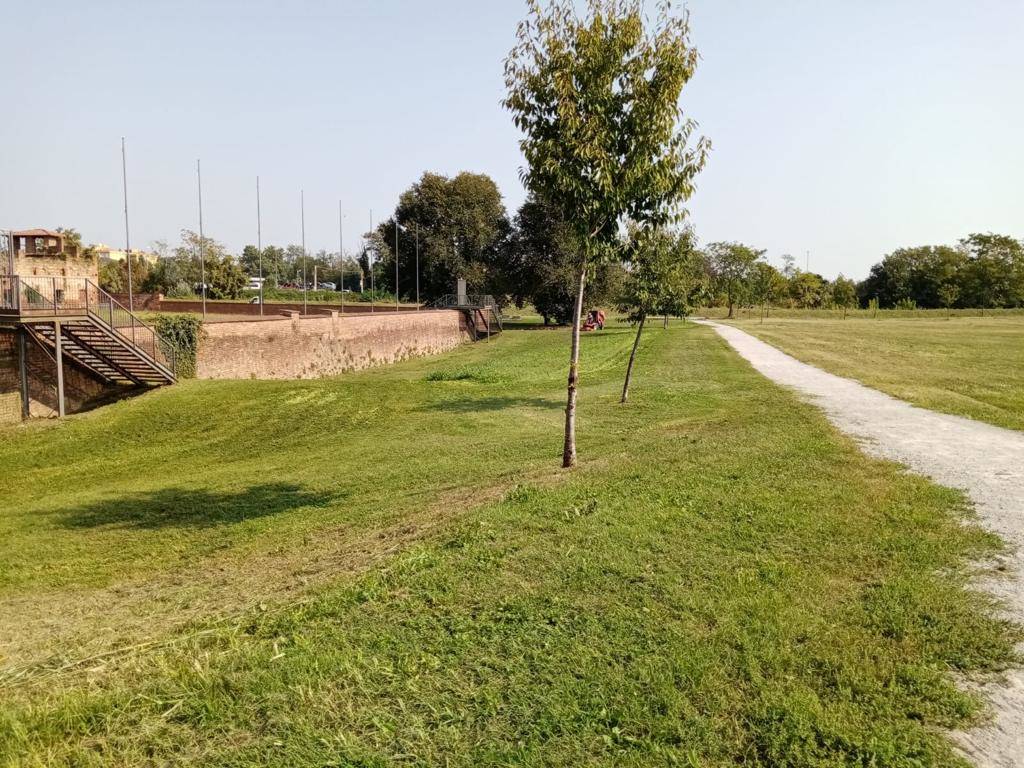 Isola del Castello