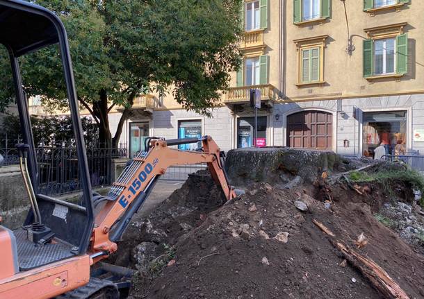 Lavori in via Veratti per il nuovo ginkgo biloba