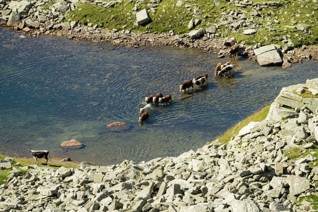 luca fontana monte rosa