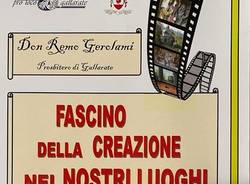 mostra don remo gerolami gallarate
