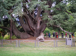 Nature urbane varese giardini estensi