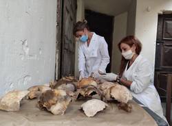 Osteoarcheologi e paleopatologi dell'UNiversità dell'Insubria