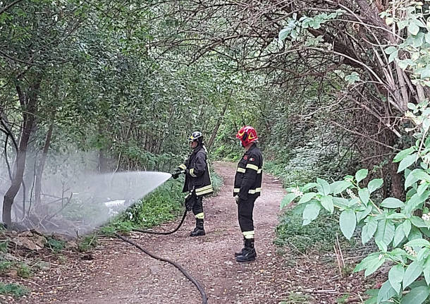 principio di incendio al parco alto milanese a Legnano