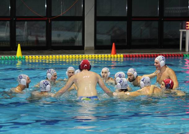 rari nantes legnano - sincronizzato e pallanuoto