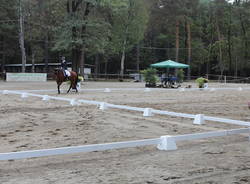 sport generico