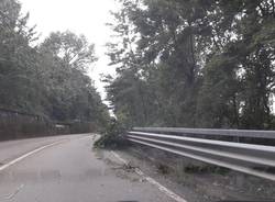 Varese, Alberi caduti per il maltempo a Bizzozero