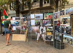 Varese - Manifestazione "I have a dream"