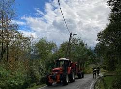 Alberi caduti, strada chiusa tra Brissago Valtravaglia e Roggiano