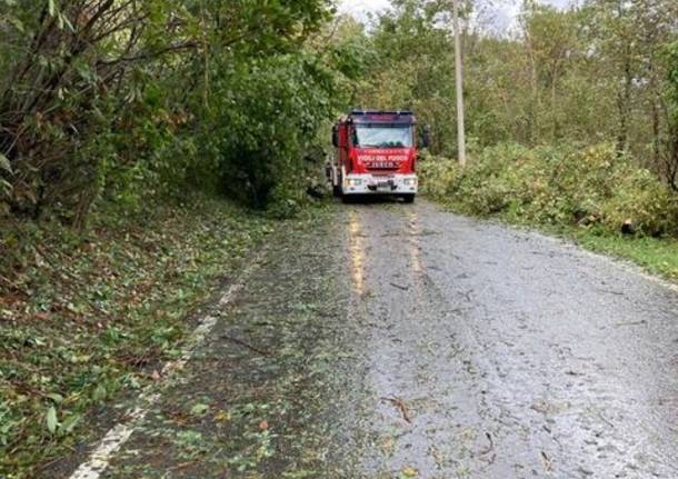 Alberi caduti, strada chiusa tra Brissago Valtravaglia e Roggiano