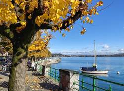 Arona - davide casazza