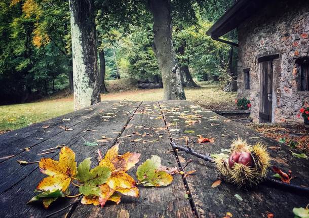 Autunno a Cuasso al Monte - foto di Andrea Betti