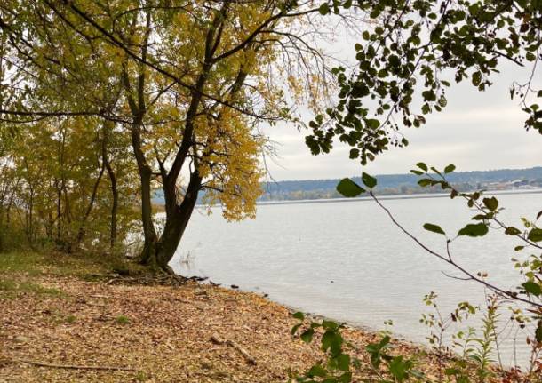 Autunno all’Oasi della Bruschera