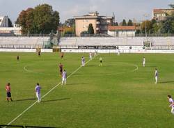 calcio lilla