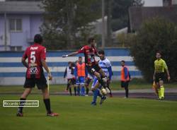 calcio pro patria lucchese