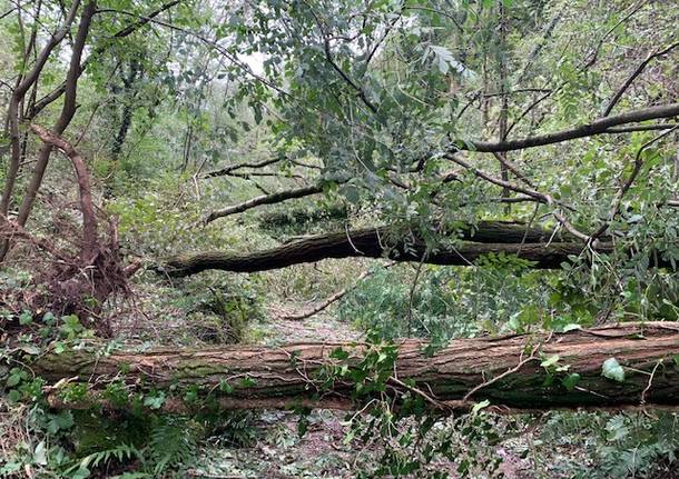 Maltempo, devastato il sentiero che porta alla Rocca di Orino