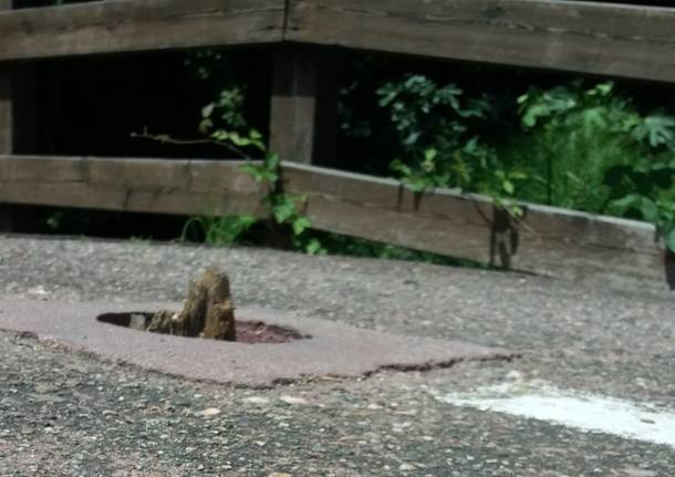 Manutenzione della pista ciclabile del Lago di Varese: forse ci siamo!