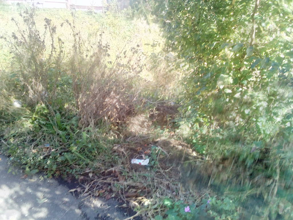 Ex parcheggio Via Sebenico, la foresta/discarica avanza!!!