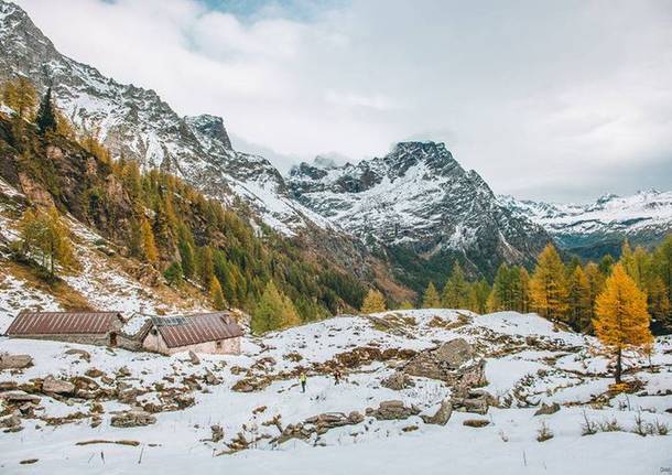 I colori dell\'autunno all\'Alpe Devero