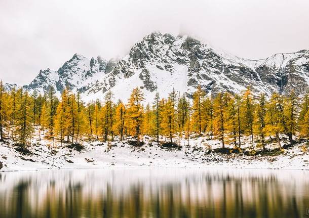 I colori dell’autunno all’Alpe Devero