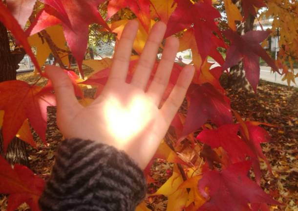 Andrà tutto bene? Il sole d’autunno dice di sì