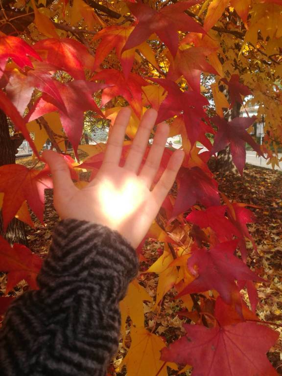 cuore di luce, 25 ottobre 2020
