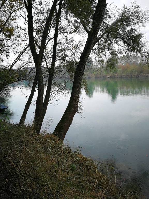 Diario di Viaggio: l'arrivo a Pavia (meta conclusiva della Francisca) di Puggioni