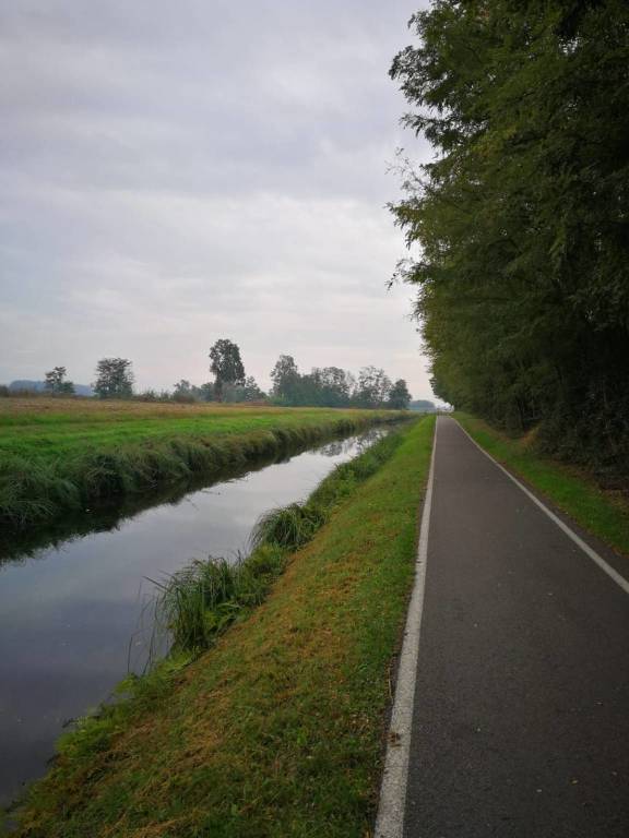 Diario di Viaggio: l'arrivo a Pavia (meta conclusiva della Francisca) di Puggioni
