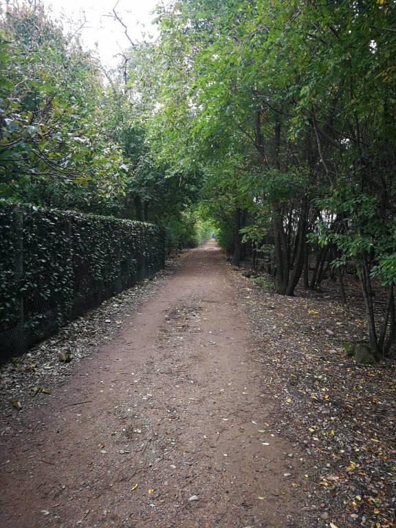 Diario di Viaggio: quarta e quinta tappa della Francisca, raccontate da Luciano Puggioni