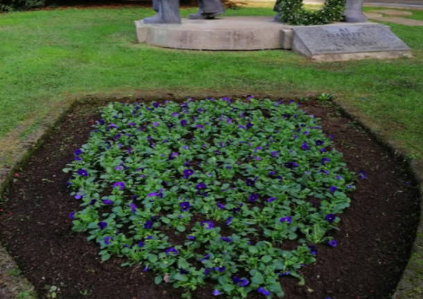 Fiori Amga