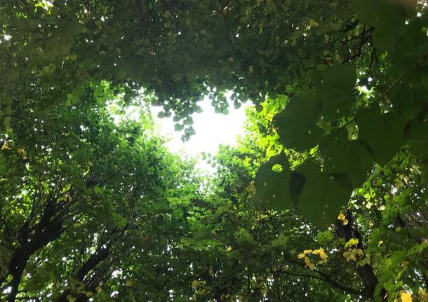 Un cuore di speranza