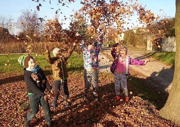 In Citta O In Natura Un Weekend Di Attivita E Magie D Autunno Per I Bambini