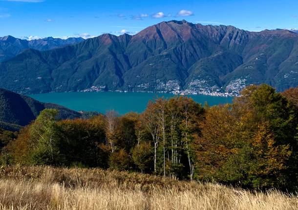 I colori dell'autunno sul Lago Maggiore 