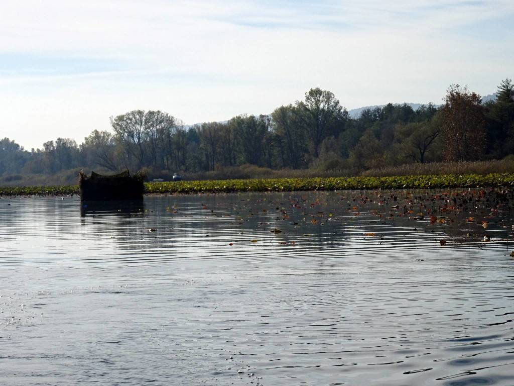 L'autunno all'Isolino