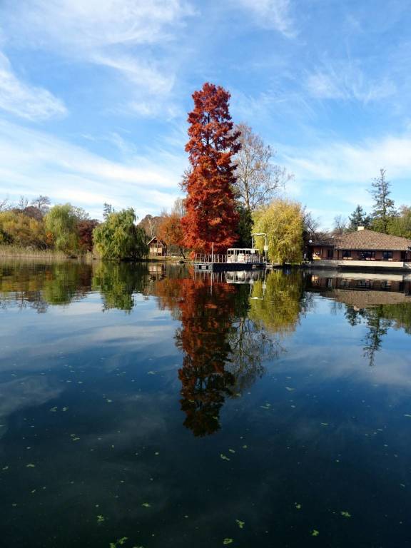 L'autunno all'Isolino