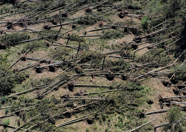 La devastazione del Campo dei Fiori