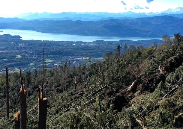 Il Campo dei Fiori devastato dal vento