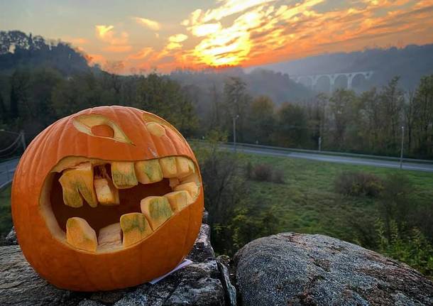 Le zucche di halloween di chef Barzetti a Malnate