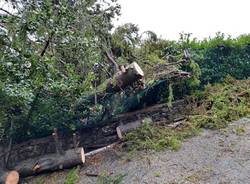 Maltempo: Alberi caduti al Campo dei Fiori