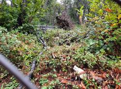 Maltempo: Alberi caduti al Campo dei Fiori